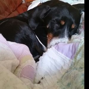 Meet your Posher, Fresh